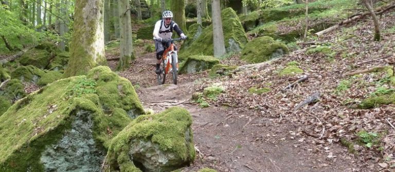 Fahrrad Daun Bernkastel