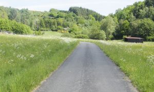 Rundweg 5