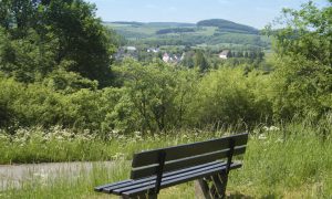 Rundweg 5